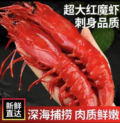 红魔虾特大鲜活刺身级带膏速冻虾