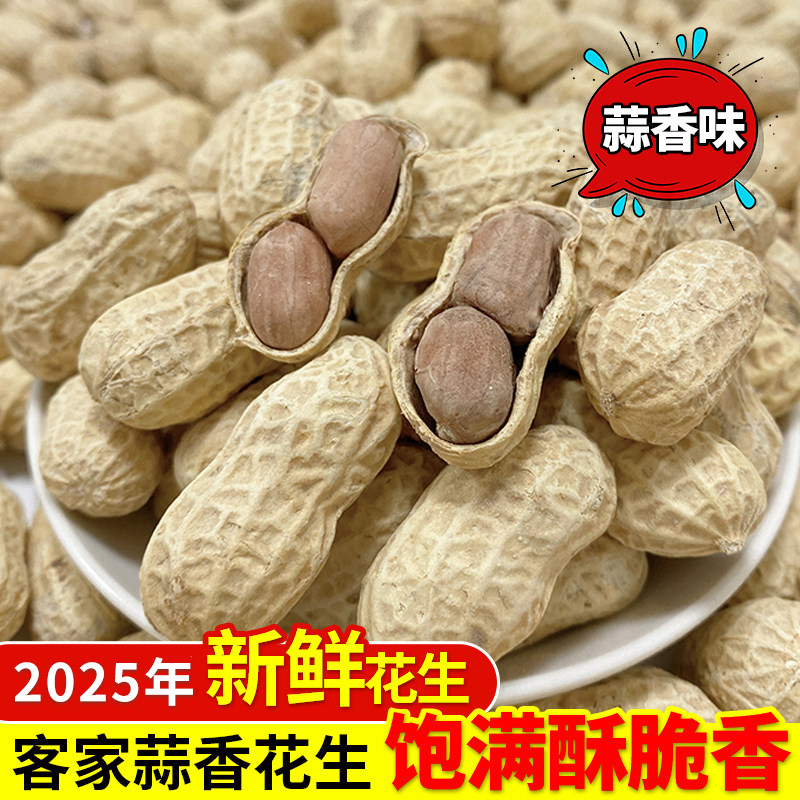 河源忠信特产蒜香花生蒜蓉味带壳红皮花生炒货零食酥脆五香包邮