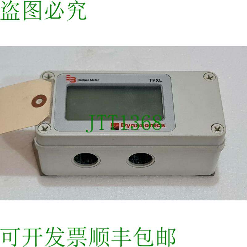 Badger Meter Dynasonics DTFXL2-XA1-NN Tfxl 时间 探针