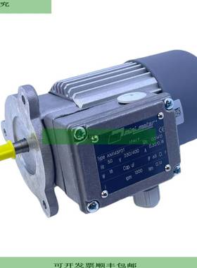 Mini Motor AM145P2T Motor El&eacute;ctrico 230/400V 50Hz 032