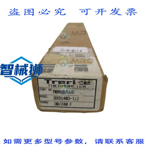 原装供应 TRERICE A00507WWG BX91403-1/2 温度计 30/240F NSMP