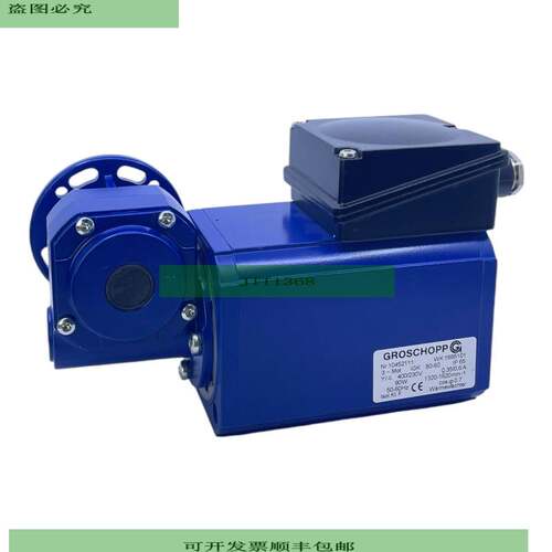 Groschopp WK1695101 Motor Reductor 10452111