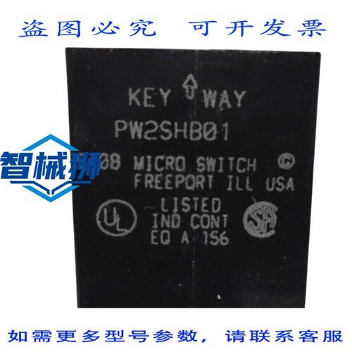 原装供应 开关 PW2SHB01 NSNP