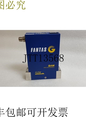 原装供应SAM FAS MASS 流量控制器 2480G1 JX1MC-UGD21 NH3,2SLM