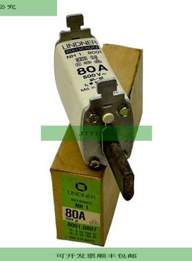 Lindner NH1 NH-Sicherunseinsatz f&uuml;r industriellen E