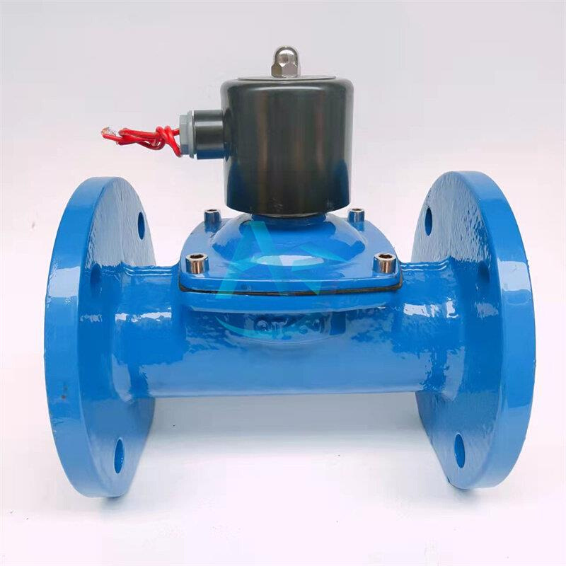 2W球墨铸铁法兰水用电磁阀24V220V常闭直动式电磁开关阀DN5065 80