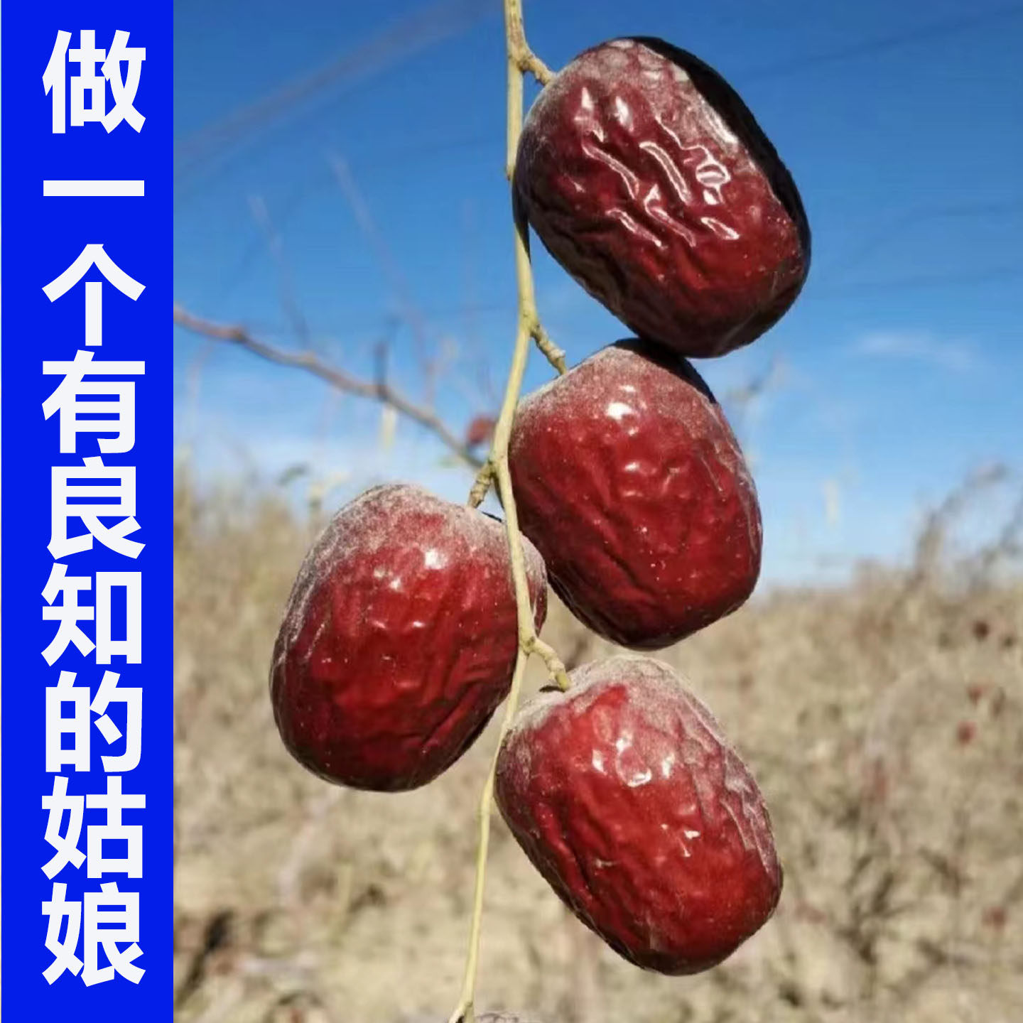 2025年新枣5斤装新疆若羌红枣灰枣原生态自然吊干枣干货枣子小枣