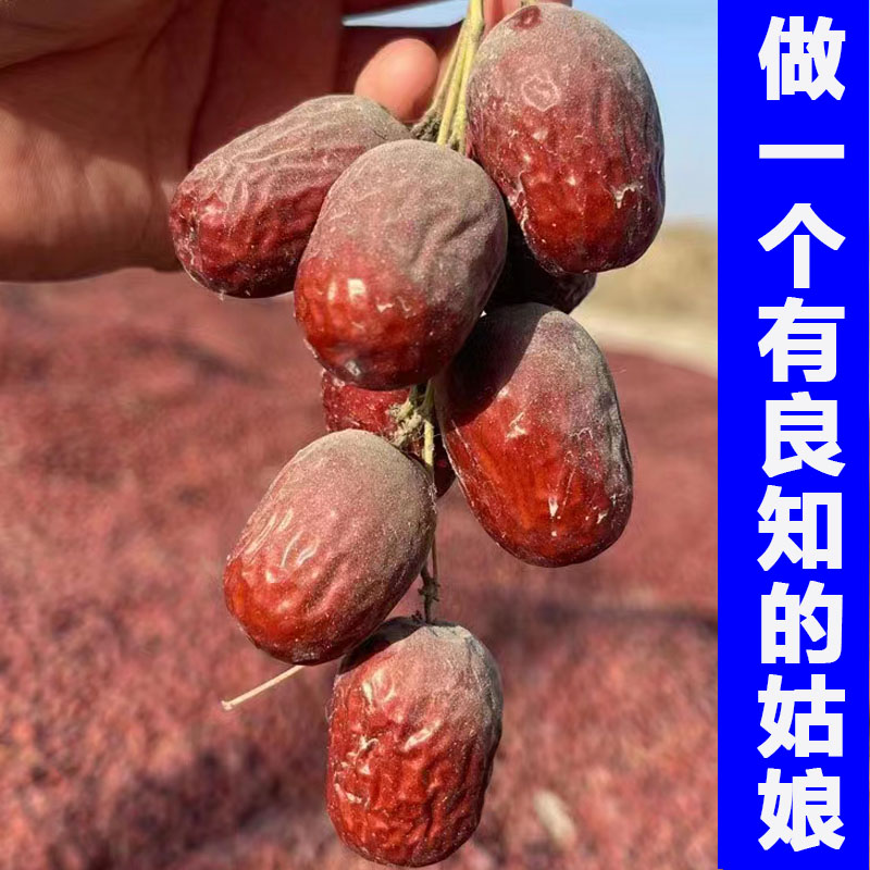 24年新枣新疆红枣若羌灰枣珍珠小枣煮粥泡茶煲汤吊干原生态5斤装