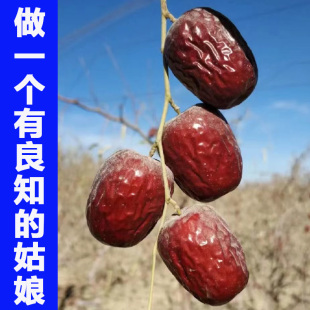 2025年新枣5斤装新疆若羌红枣灰枣原生态自然吊干枣干货枣子小枣