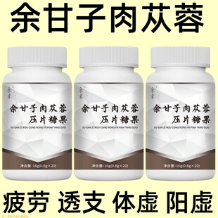 余甘子肉苁蓉阳虚体质调理手脚冰凉怕冷口干舌燥肝火旺盛男女可用