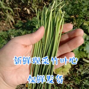 新鲜竹叶心中草药【四川发货】