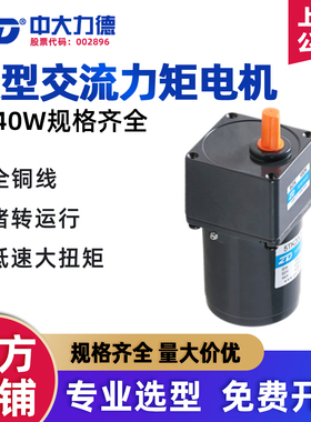 ZD中大力德力矩减速电机3W-40W交流电机220V收卷料可调速堵转马达