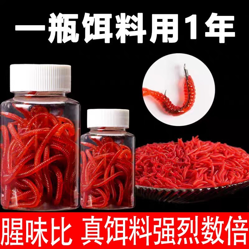 仿生鱼饵料假饵红虫蚯蚓路亚软饵鲫鱼鲤草鱼翘嘴野钓黑坑水库通杀