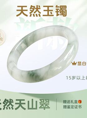 天然新疆天山翠飘绿半山水飘花气质手镯玉手环送老婆送女友礼盒装