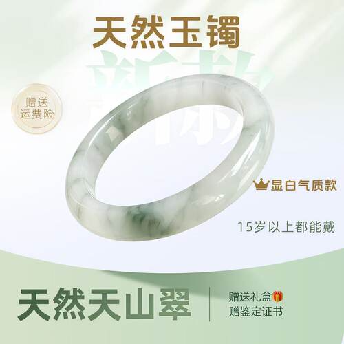 天然新疆天山翠飘绿半山水飘花气质手镯玉手环送老婆送女友礼盒装