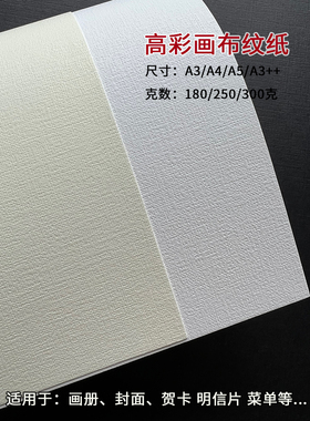 180g 250克300克画布纹纸 花纹纸 艺术纸 特种纸SRa3 /a4/a5 打印纸 复印纸封面内页装饰画加厚白色卡纸