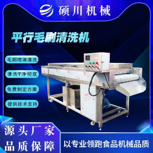 other/其他 1柑橘橙子滚动式平行毛辊清洗机海蛎子高压喷淋毛刷清