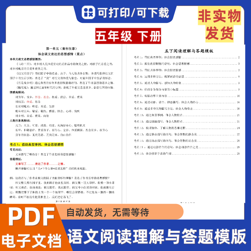 小学语文五年级下册阅读理解与答题模板16大考点电子档PDF