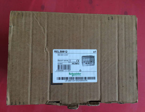 REL59812       Sepam series  10A 42E