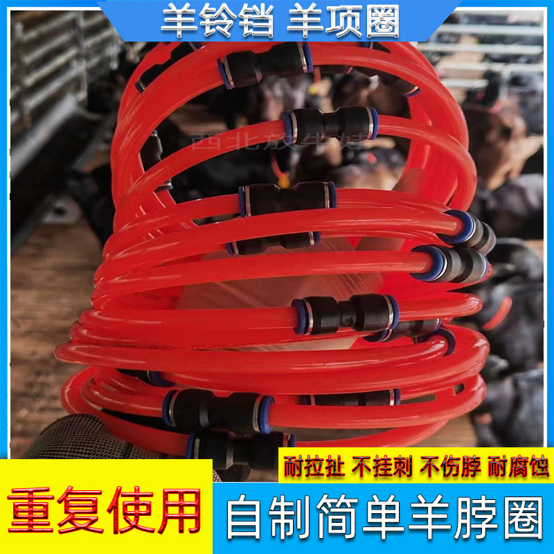 拴羊脖套脖子项圈羊铃铛项圈自制