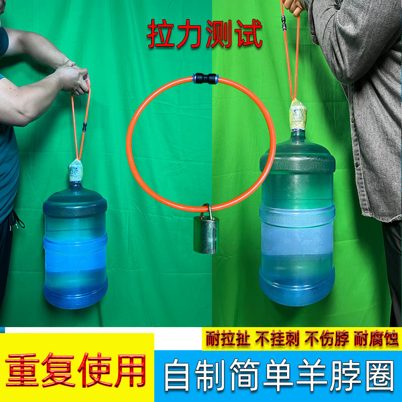 自制羊项圈新款不伤脖防挂刺养殖羔羊用项圈戴记号牌颈圈脖套