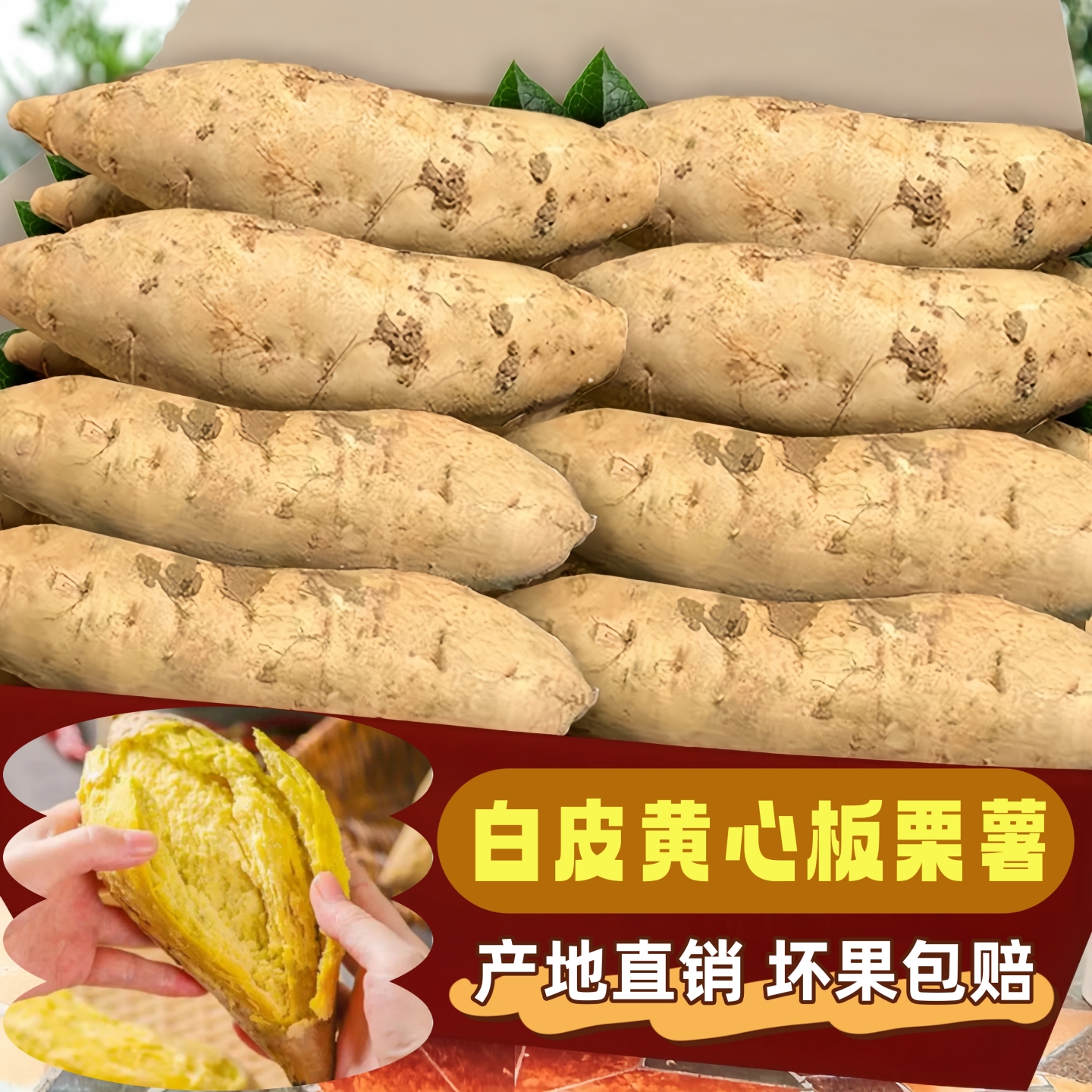 广东潮汕鸡蛋黄板栗红薯产地直销