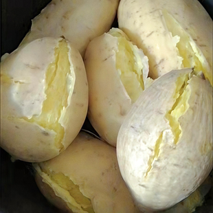 广东潮汕农家自种新鲜白皮黄肉板栗红薯粉糯香甜爆皮地瓜产地直销