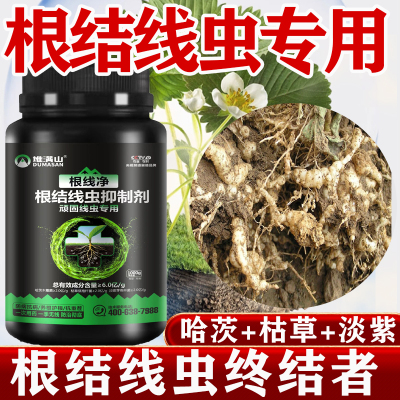 顽固根结线虫专用药枯草淡紫杆菌