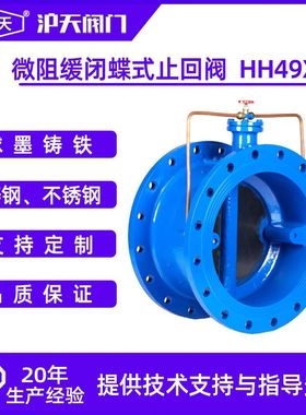 止回阀微阻缓闭蝶式止回阀缓闭式止回阀HH48X HH49X HH46X