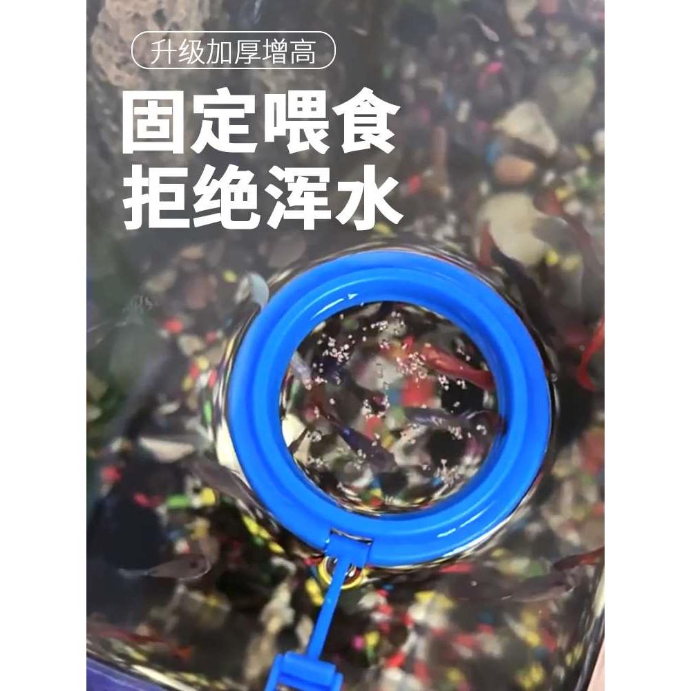 鱼缸喂食器喂鱼神器孔雀鱼漂浮喂食圈丰年虾投食器鱼食投喂器