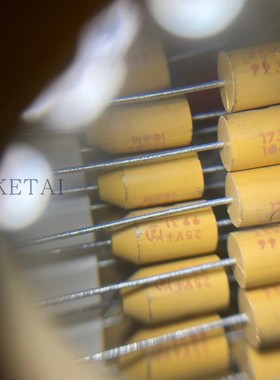 Vishay/Sprague 173D106X9025W 173D 25V10UF 25V106M轴向钽电容