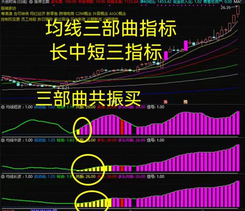通达信指标均线三部曲长中短副图三指标打包 牛股难跑选股套装