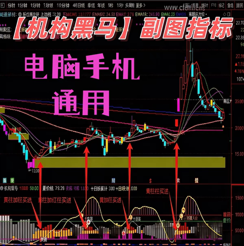 【机构黑马】主力进场游资资金分析 庄家游资珍藏短线副图指标