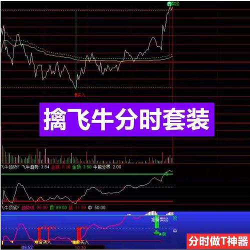 飞牛分时抓主力动向分时买卖点分时图做T0期货炒股短线通达信指标