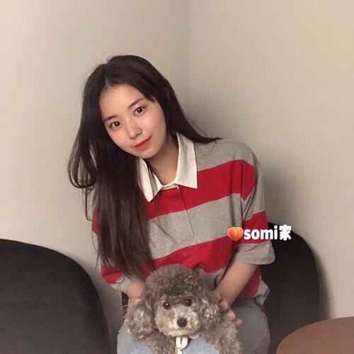 【现货】somi家 韩国plac向日葵刺绣条纹polo短袖T恤宋闵浩姜升润