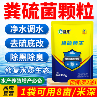 粪净肽粪硫菌水产养殖鱼塘调水改底去青苔除臭改善水质粪硫菌颗粒
