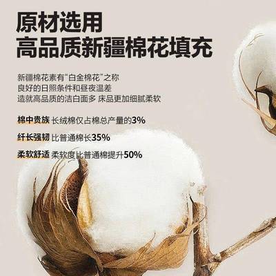 夹床笠20UGF2床5新款四季通用罩单棉床垫保护罩隔脏防尘全件包床