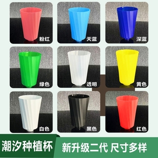 阳台鱼菜共生系统设备水培植物鱼缸一体鱼菜共生鱼缸栽培种植杯