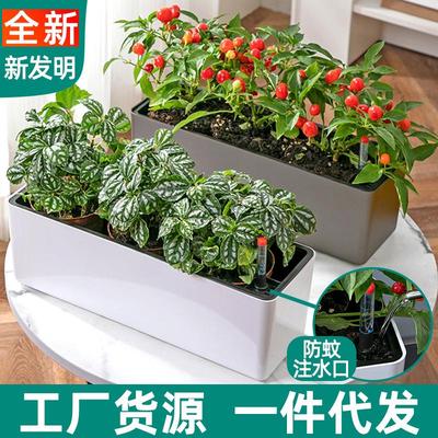 加厚款窄边种菜盆懒人花盆塑料阳台种菜长方形种植盆窗台花盆