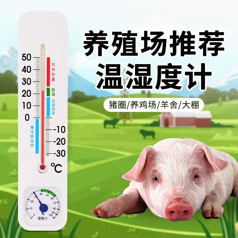 温度计室内精准家用壁挂式大棚养殖专用农业养鸡场高精度温湿度计