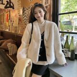 2025冬季新款韩版仿貂绒棉衣外套女显瘦棉服棉袄加厚减龄毛毛上衣，女装短外套，浙宝095(原288A)