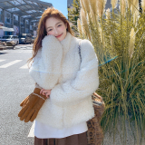 【现货】2025冬装新款皮毛一体毛绒外套095-8316-P190-K288，女装皮草，浙宝095(原288A)