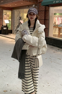 【现货】2023冬季新款短款加厚白鸭绒羽绒服095-966-P235 K358图片