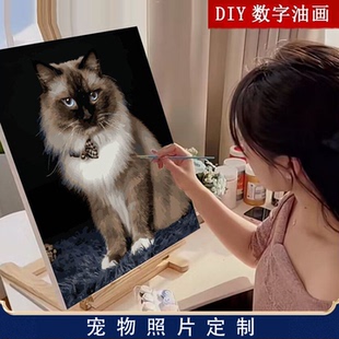 数字油画diy宠物猫咪狗狗照片手绘填色礼物油彩画解压装 饰画