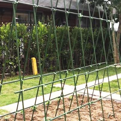 瓜架杆 葡萄爬藤架葡萄棚架黄瓜架杆菜园爬藤架 西瓜蔬菜黄瓜番茄