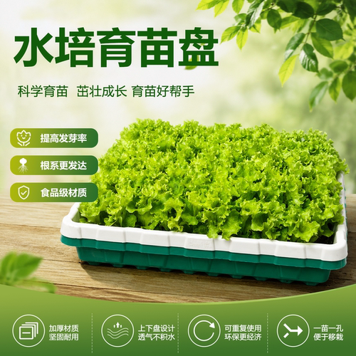 育苗盘蔬果芽苗菜种植果盘沥水盘