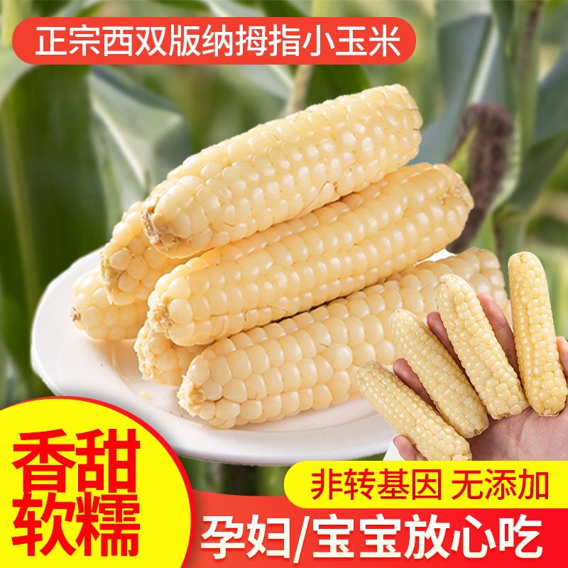 多美思西双版纳拇指玉米无添加