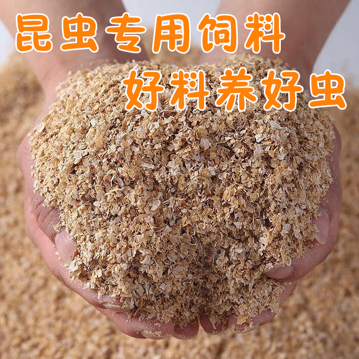 麦麸玉米粉昆虫活物饲料针头蟋蟀杜比亚樱桃蟑螂大麦虫面包虫食物