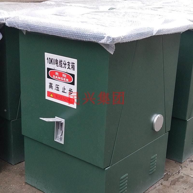 10KV高低压电缆分支箱DFW-12/630一进二三四五出不锈钢欧式分接箱