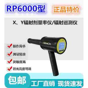 RP6000型X、Y辐射剂量率仪便携式射线巡测仪剂量报警监测仪伽马枪